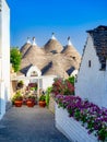 Trulli house in Alberobello village, vertical view