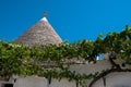 Trulli houses in Alberobello, Italy