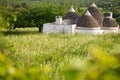 Trulli houses in green landscape, rural scene