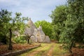 Trulli with olive grove. Val d`Itria - Puglia Apulia - Italy