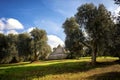 Trulli with olive grove. Val d`Itria - Puglia Apulia - Italy