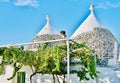 Trulli, traditional Apulian dry stone hut old houses with vineyard Royalty Free Stock Photo