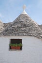 Trullo Roof with Window and Plant Royalty Free Stock Photo