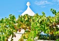 Trullo, traditional Apulian dry stone hut old houses with vineyard