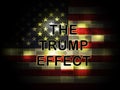 Trump Effect Meaning Failure Mess Screwup And Disaster - 2d Illustration Royalty Free Stock Photo