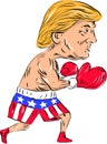 Trump 2016 Election Boxing