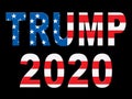 Trump 2020 Republican Choice For President Nomination - 2d Illustration