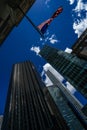 Trump Tower and Stars and Stripes