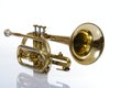 Trumpet Royalty Free Stock Photo