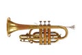 Trumpet Royalty Free Stock Photo