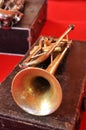 Trumpet Royalty Free Stock Photo