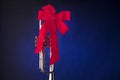 Trumpet Christmas Ribbon Isolated Blue Royalty Free Stock Photo