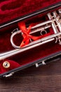 Trumpet or cornet in velvet case.