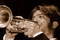 Trumpet Extrodinare Royalty Free Stock Photo