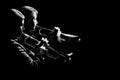 Trumpet jazz band Brass musician playing trumpets Royalty Free Stock Photo