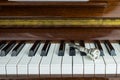 Trumpet mouthpiece upon the piano keys, close up Royalty Free Stock Photo