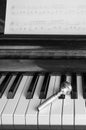 A trumpet mouthpiece upon the piano keys, close up Royalty Free Stock Photo