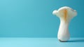 Trumpet mushroom pleurotus eryngii on pastel colored background for artistic display