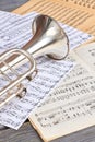 Trumpet and musical notes, vertical image. Royalty Free Stock Photo