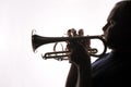 Trumpet player 01 Royalty Free Stock Photo