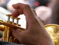 trumpet player Royalty Free Stock Photo