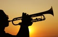 Trumpet Player Royalty Free Stock Photo