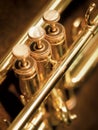 Trumpet valves Royalty Free Stock Photo