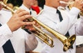 Trumpeter playing at a jazz festival in a city park