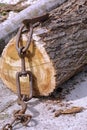 Truncated tree trunk hooked to a chain