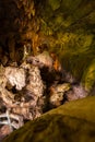 Trung Trung Cave Cat Ba Vietnam