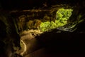 Trung Trung Cave Cat Ba Vietnam Royalty Free Stock Photo