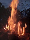 Trunk burning fire at the night Royalty Free Stock Photo