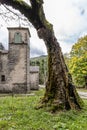 The trunk of an old tree frames the bell tower of the Sanctuary of the Madonna dell`Acero, Lizzano in Belvedere, Italy