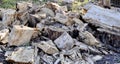 Trunk of tree torn to pieces with an ax