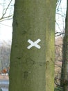 Trunk with a white X