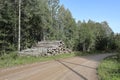 Trunks of felled trees lie next to the forest road Royalty Free Stock Photo