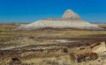 The trunks of petrified trees, multi-colored crystals of minerals. Petrified Forest National Park, Arizona