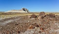 The trunks of petrified trees, multi-colored crystals of minerals. Petrified Forest National Park, Arizona