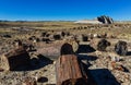 He trunks of petrified trees, multi-colored crystals of minerals. Petrified Forest National Park, Arizona