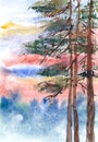 Trunks of pine trees at sunset watercolor drawing