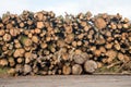 Trunks of trees cut and stacked. Timber industry, a woodpile of chopped lumber, wood logs storage Royalty Free Stock Photo