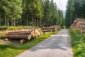 Trunks of trees with denoted tree trunk diameter