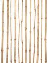 The trunks of various thicknesses of dry bamboo isolated on whit Royalty Free Stock Photo
