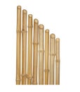 The trunks of various thicknesses of dry bamboo isolated on whit Royalty Free Stock Photo