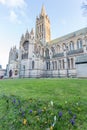 Truro Cathedral in cornwall england uk kernow Royalty Free Stock Photo