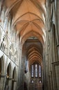 Truro Catherdral Royalty Free Stock Photo