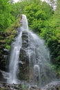 Trusetal waterfall in Thuringia, Germany Royalty Free Stock Photo