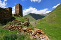Truso Gorge near the Kazbegi city Royalty Free Stock Photo