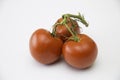 Truss greenhouse tomatoes Royalty Free Stock Photo