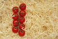 A truss of red wet cherry tomatoes on a wooden shavings background. Top view. Space for text Royalty Free Stock Photo